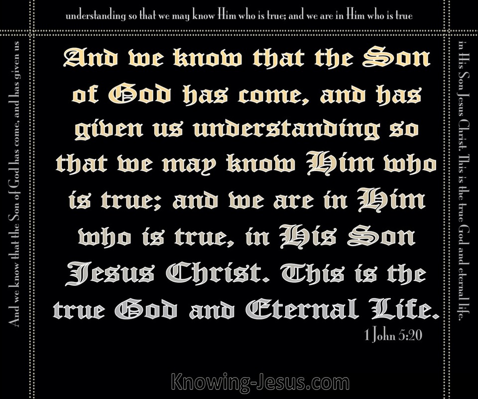 1 John 5:20 This Is The True God (black)